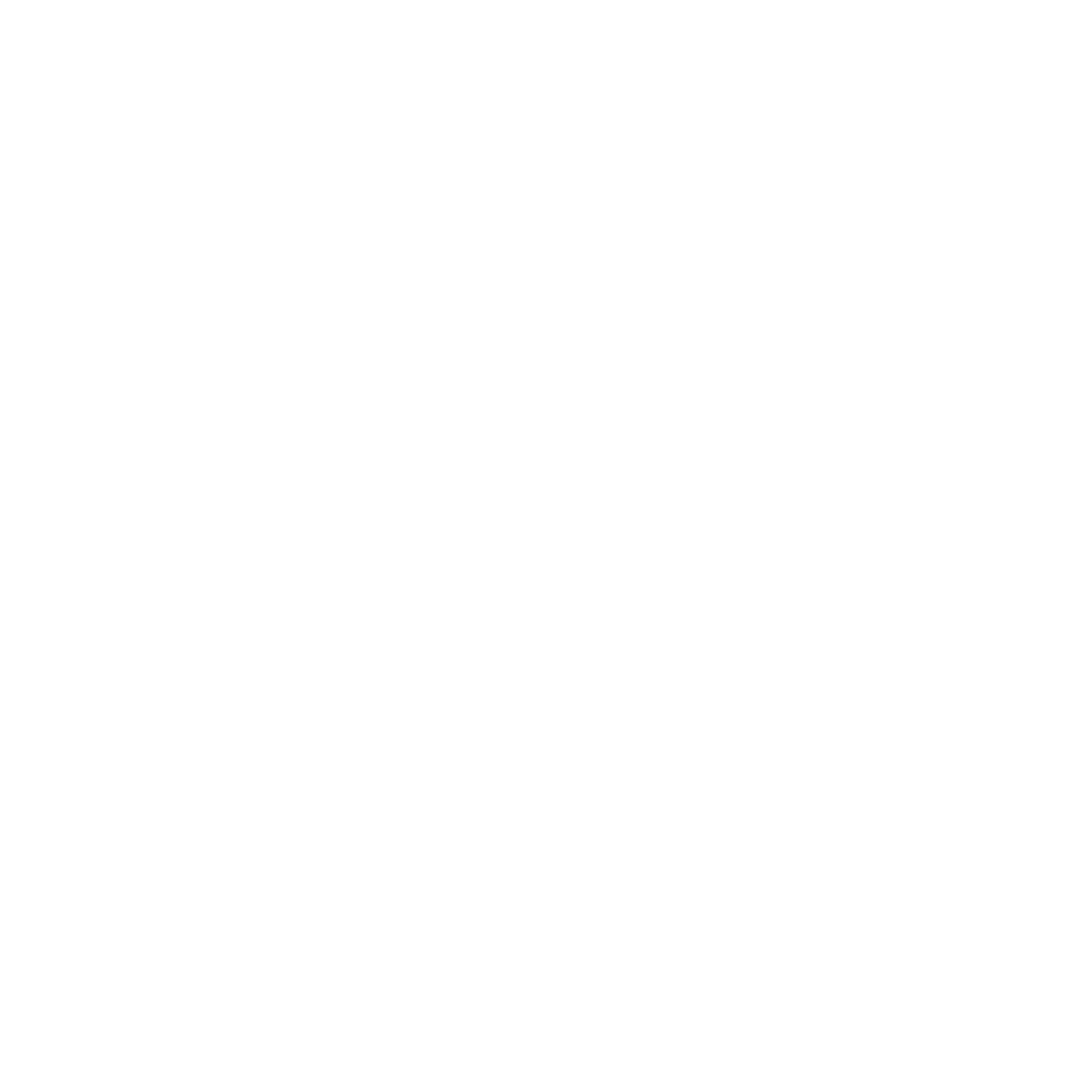University of Bristol Brigstow Institute logo